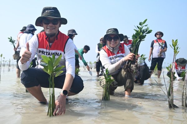 Bantu Kurangi Emisi Karbon dengan Tanam Mangrove