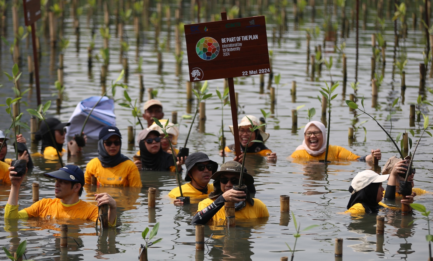 Tanam 600 Pohon, ABM Group Libatkan 100 Volunteers