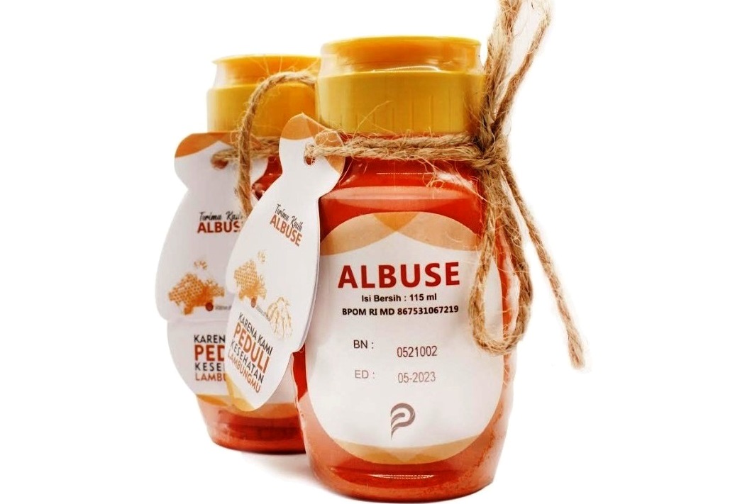 Albuse untuk Atasi Penyakit Maag Akut