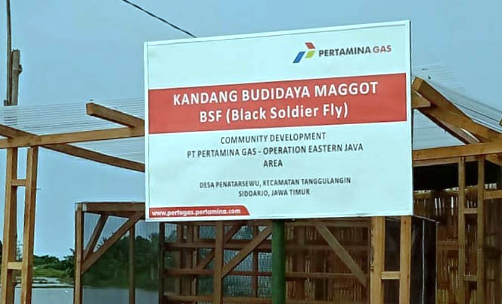 Siasati Dampak Covid-19, Produsen Ikan Asap Budidaya Maggot