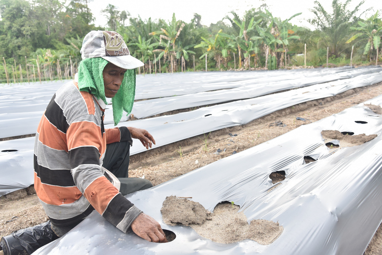 Pertamina Maksimalkan Potensi Ekonomi Bukit Datuk, Dumai