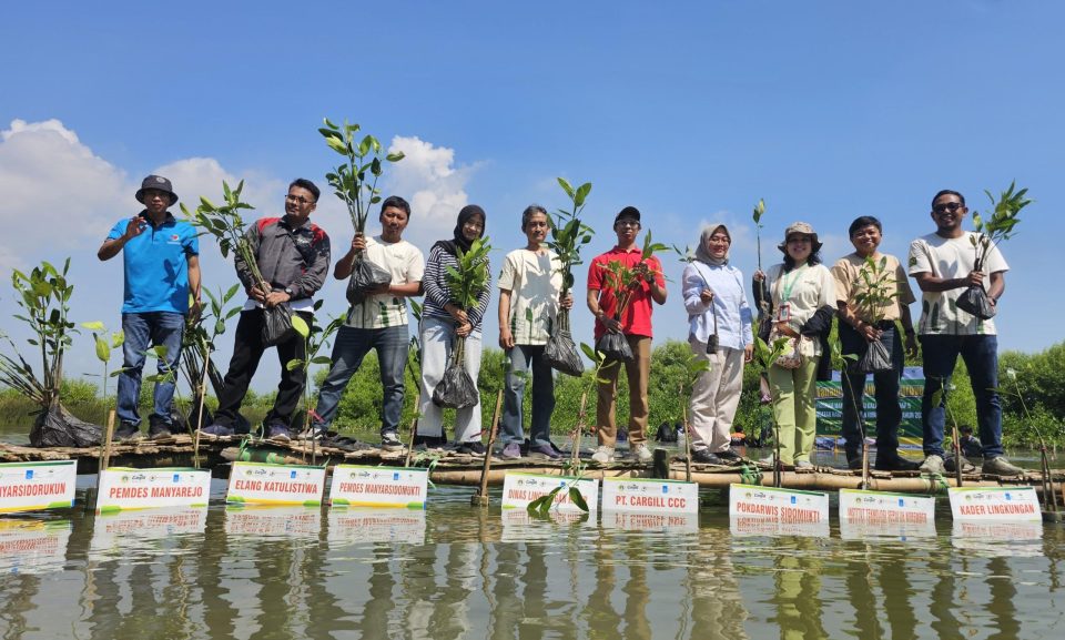 Cargill Tanam 3.500 Bibit Mangrove di Gresik