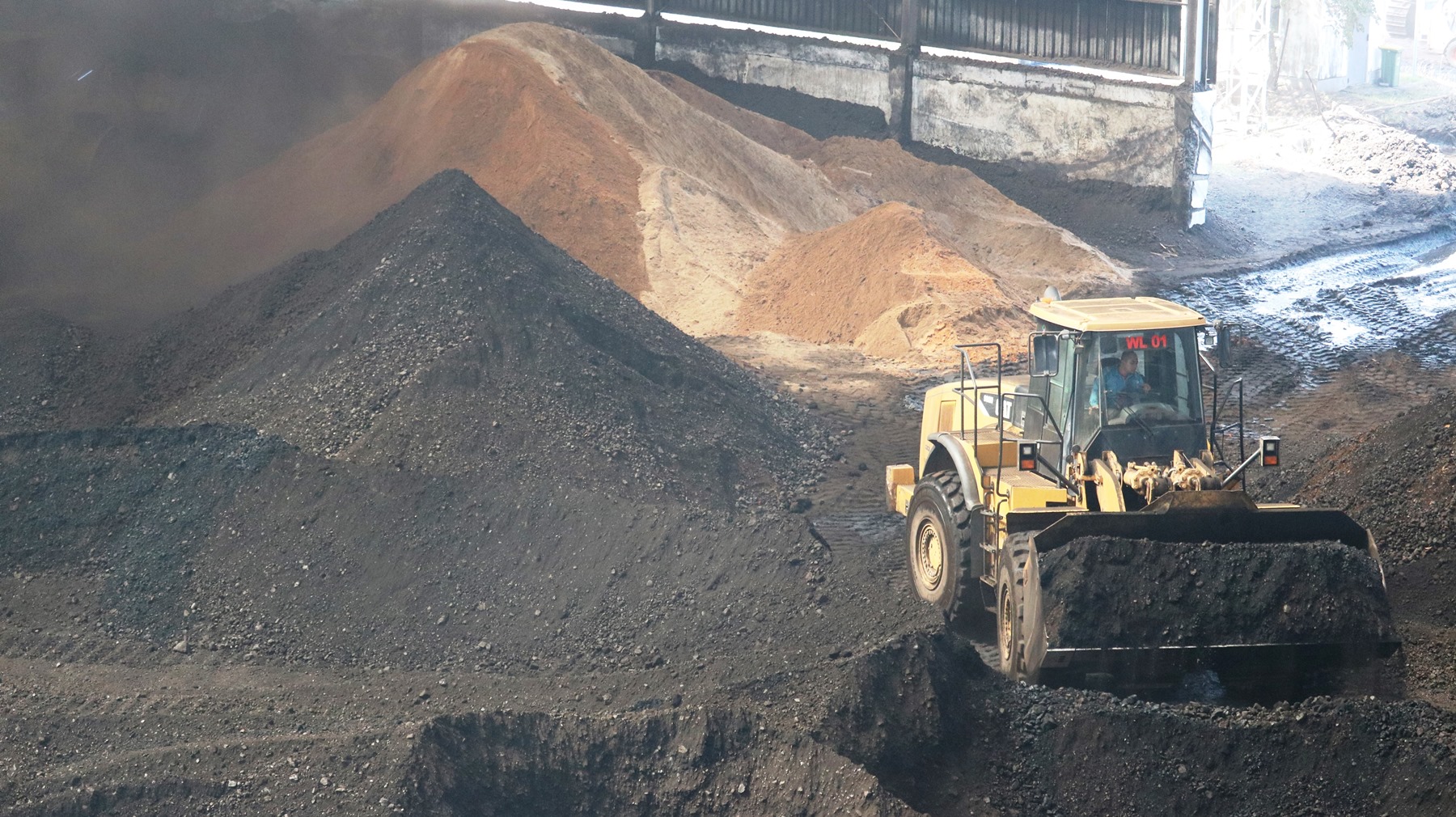 Optimalkan Cofiring PLTU, PLN Gandeng Perhutani dan PTPN III