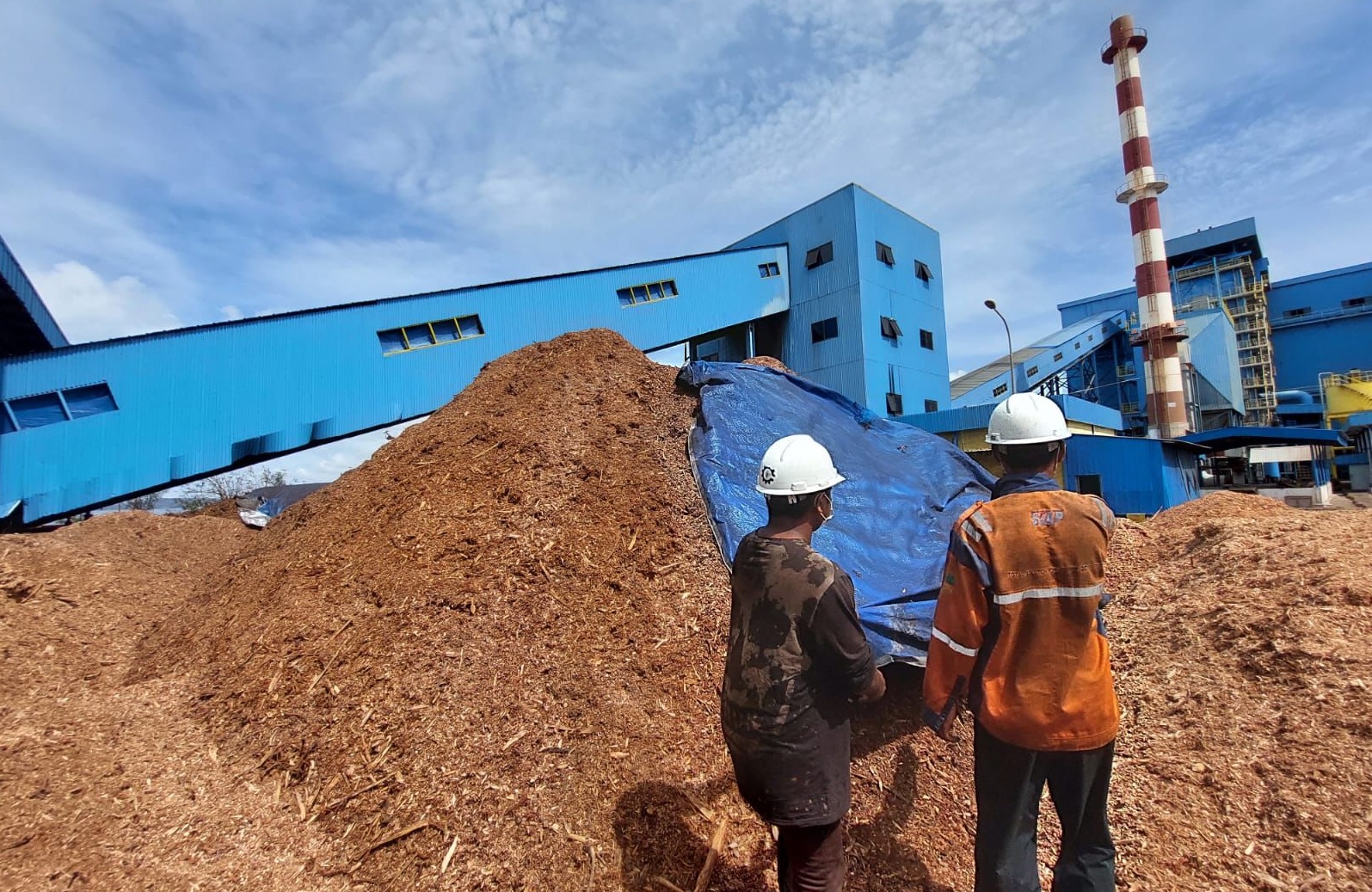 Demi Energi Bersih, PLN Genjot Program Co-Firing
