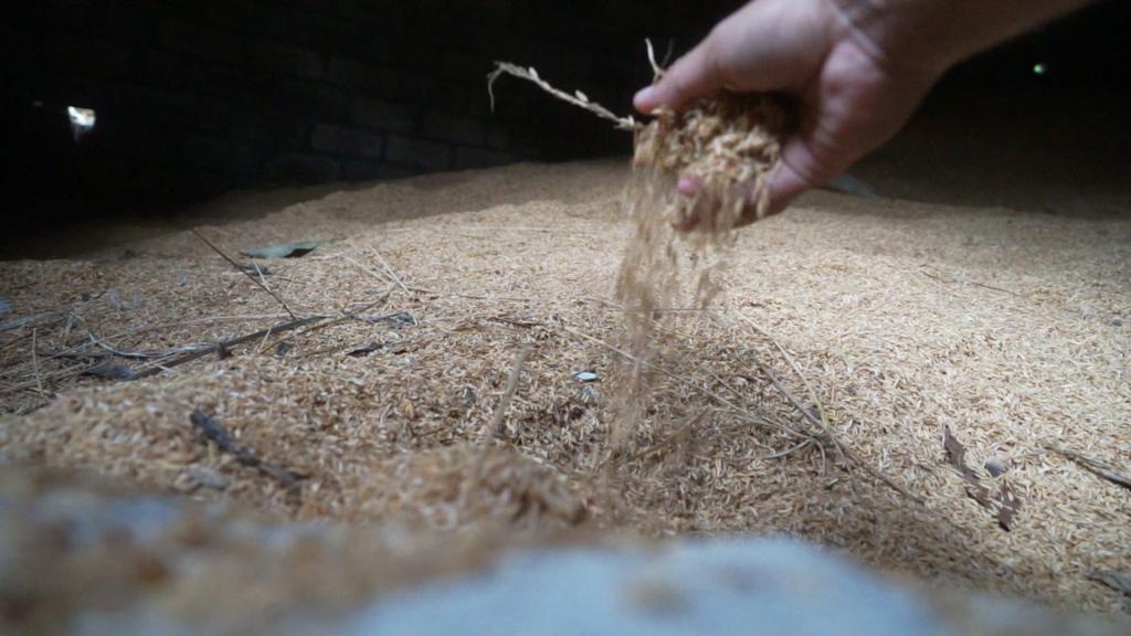 ARE: Co-firing, Solusi Palsu bagi Upaya Transisi Energi