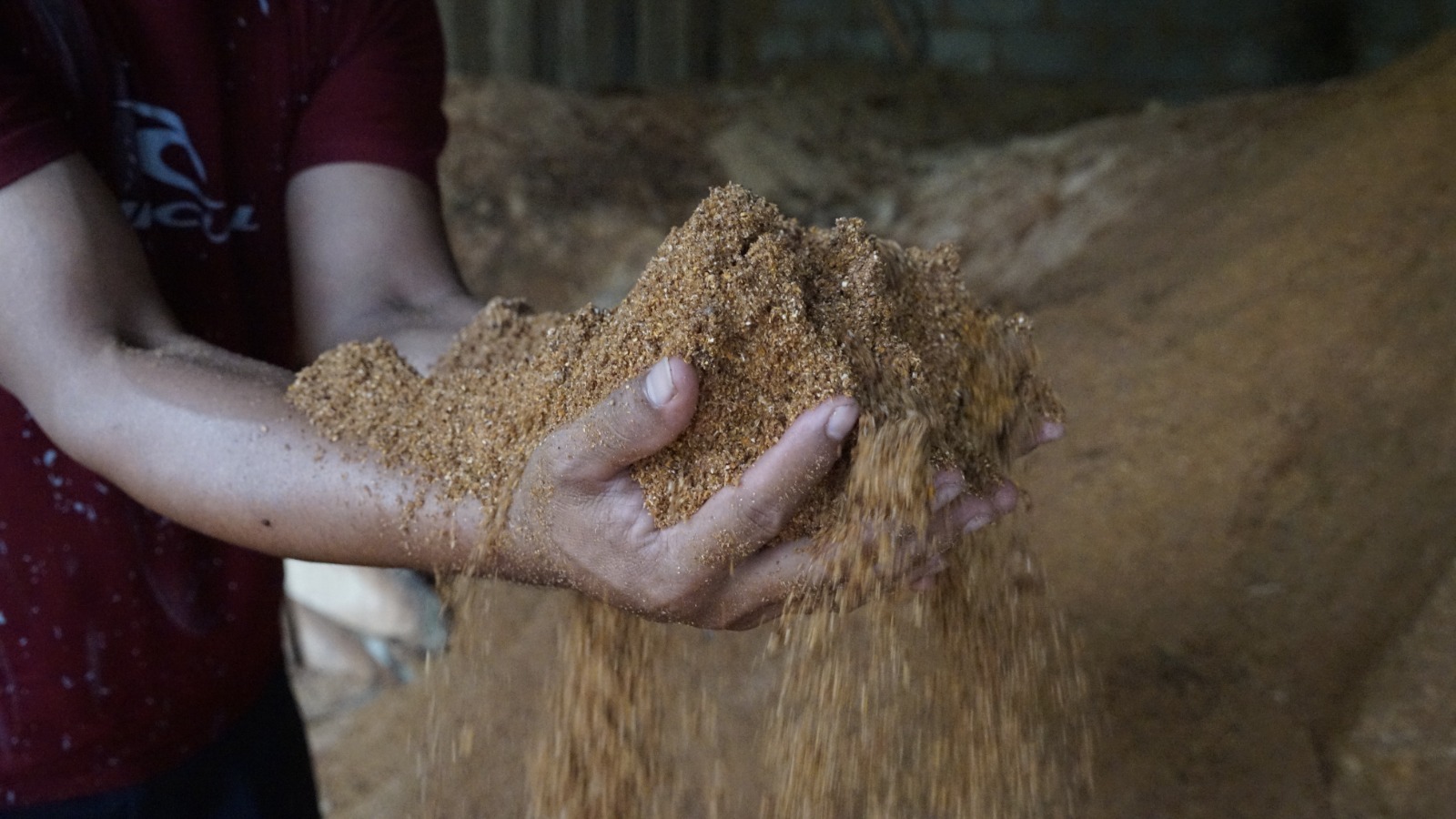 Gerakkan Ekonomi, Serbuk Kayu & Sekam Padi Jadi Sumber Energi