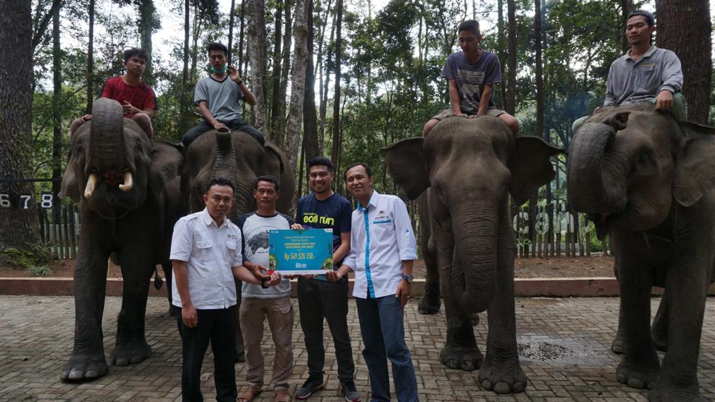 Donasi Pertamina Eco Run untuk Gajah Diserahkan