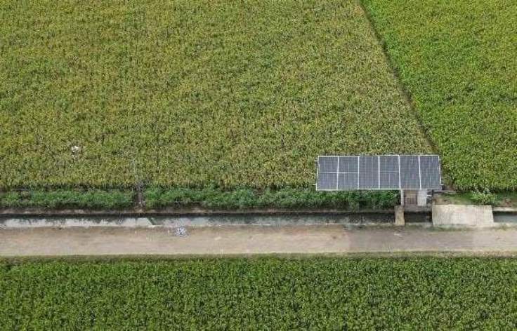 Wujudkan Ketahanan Pangan dan Energi, DEB Hadir di Indramayu