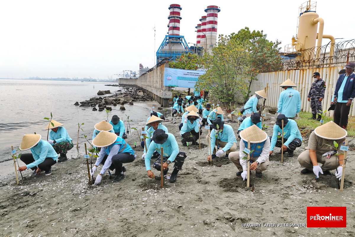 Indonesia Power Tanam 2.000 Mangrove di Pesisir Utara Jakarta