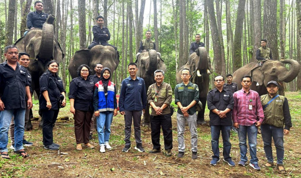 Pertamina Patra Niaga Dukung Konservasi Gajah Sumatera