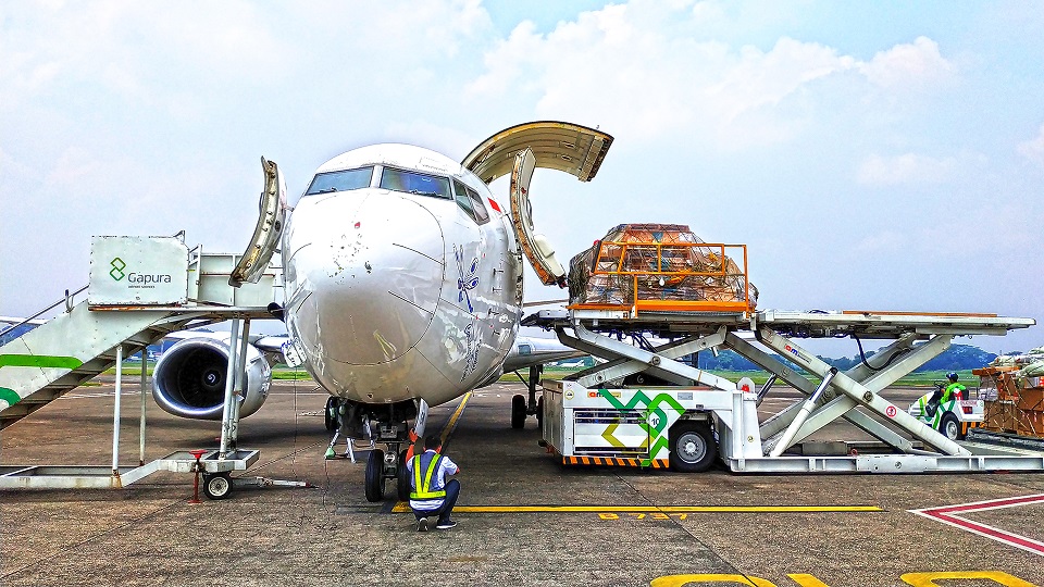 CKB Logistics Tambah Jadwal Layanan Jakarta–Timika