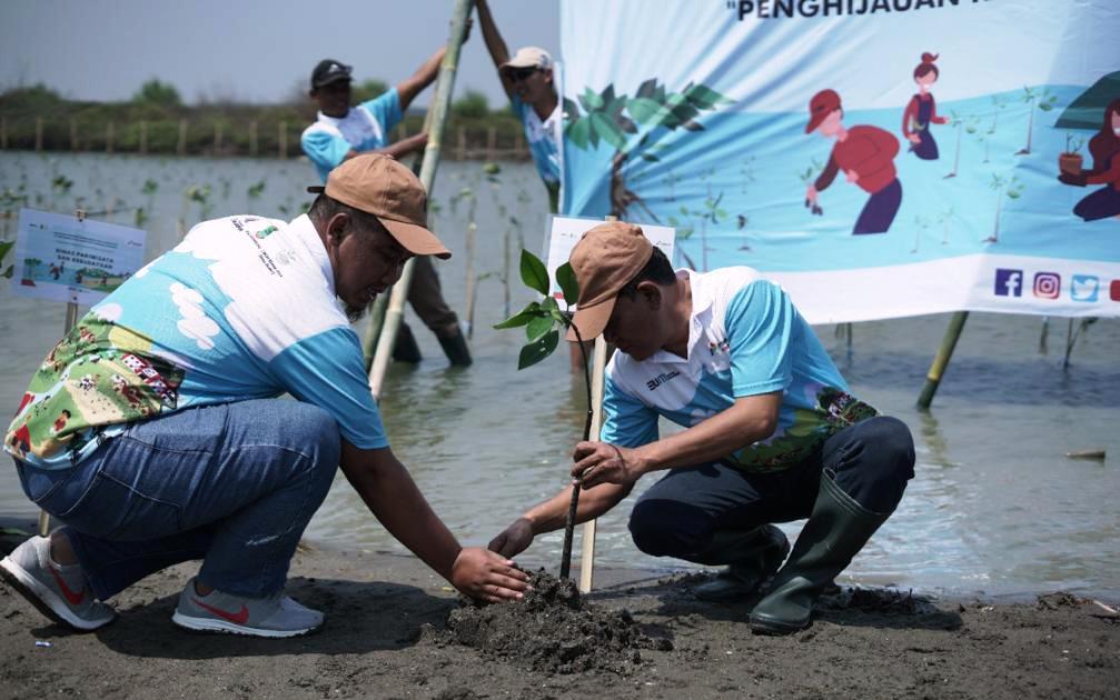 Fuel Terminal Cikampek Tanam Mangrove di Pesisir Karawang