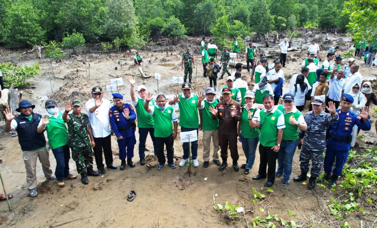 Upaya Rehabilitasi Hutan Mangrove di Halmahera Selatan
