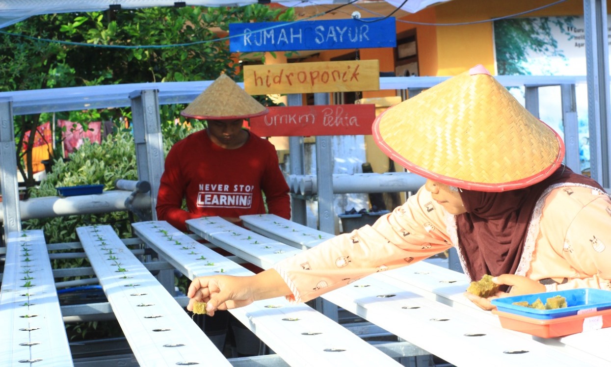 Pelita, Inovasi Pemberdayaan Masyarakat Terminal Tanjung Wangi