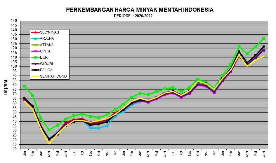 Masih Naik, ICP Juni 2022 Jadi US$ 117,62 per Barel
