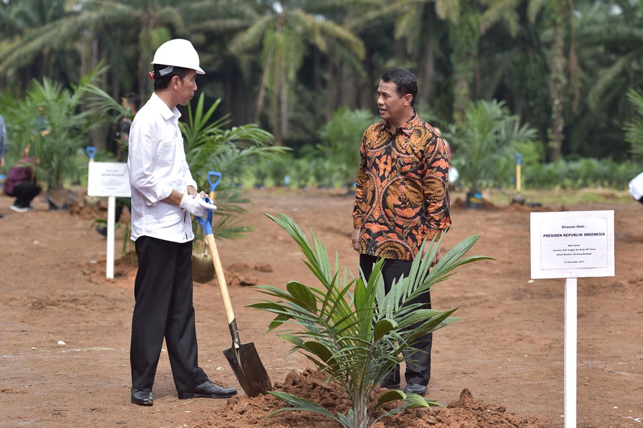 Peremajaan 9.109,29 Ha Sawit Rakyat di Sumatera Utara