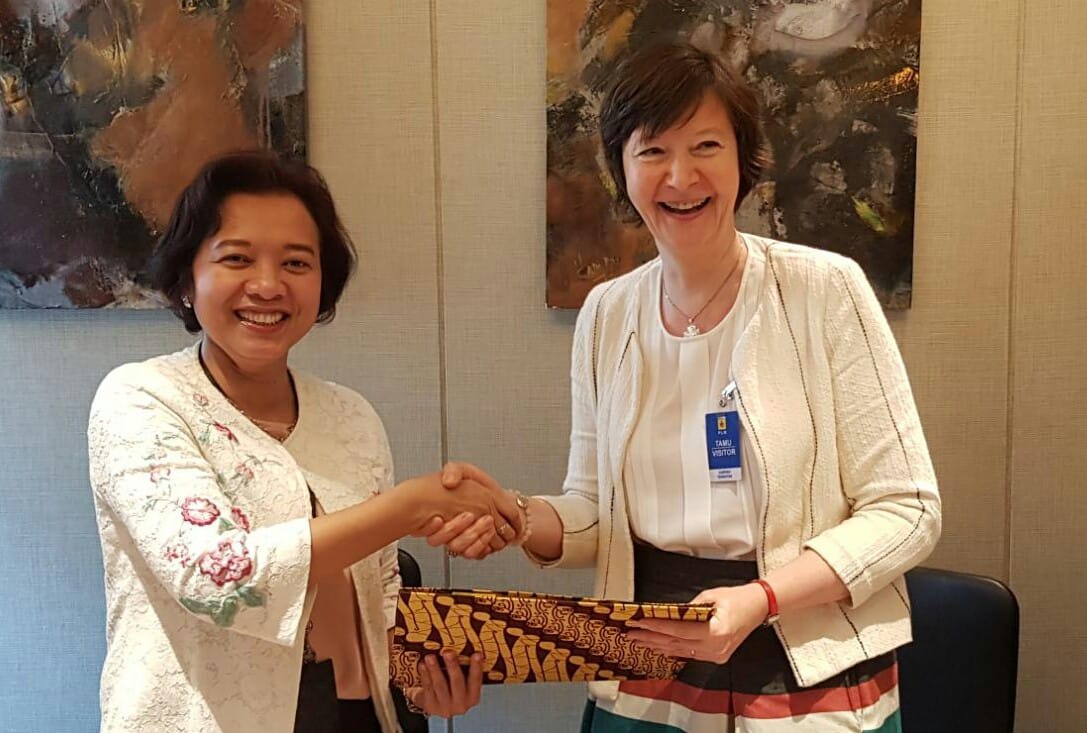 Serius Kembangkan EBT, PLN Gandeng TSG France