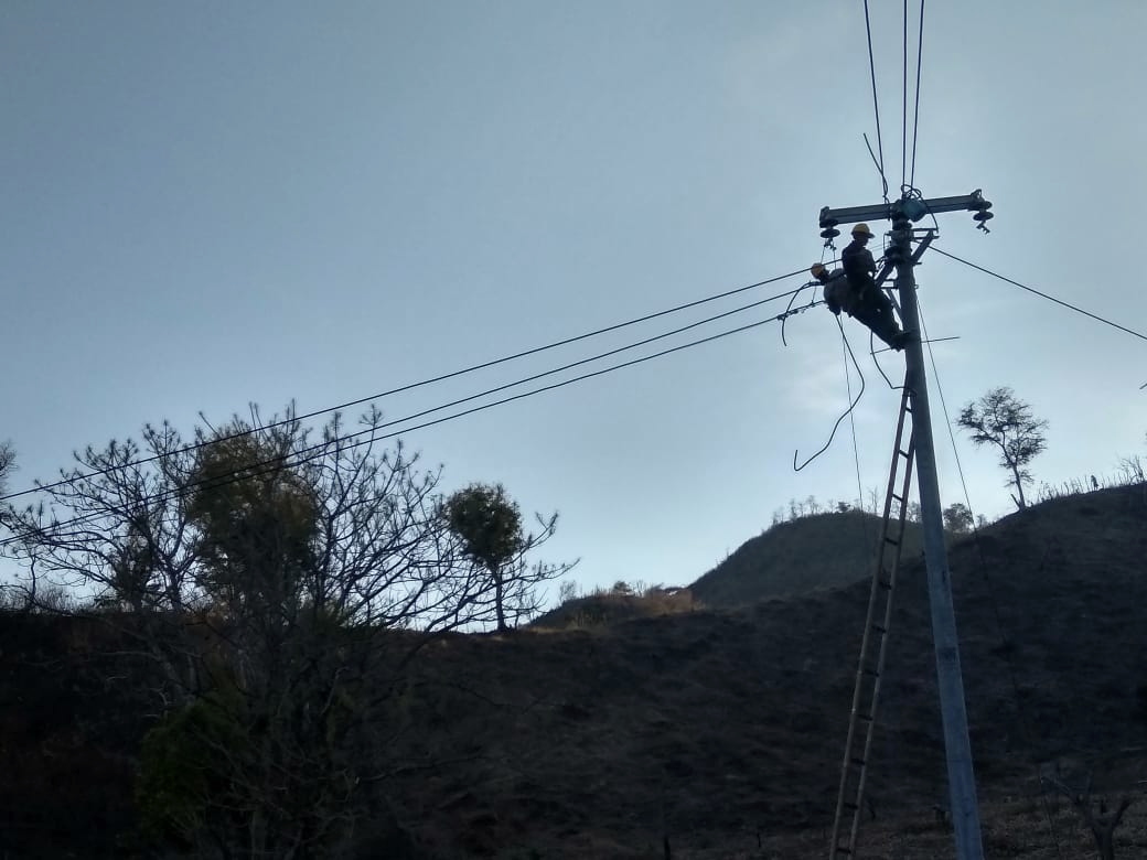 PLN Siapkan Infrastruktur untuk Tingkatkan Rasio Elektrifikasi