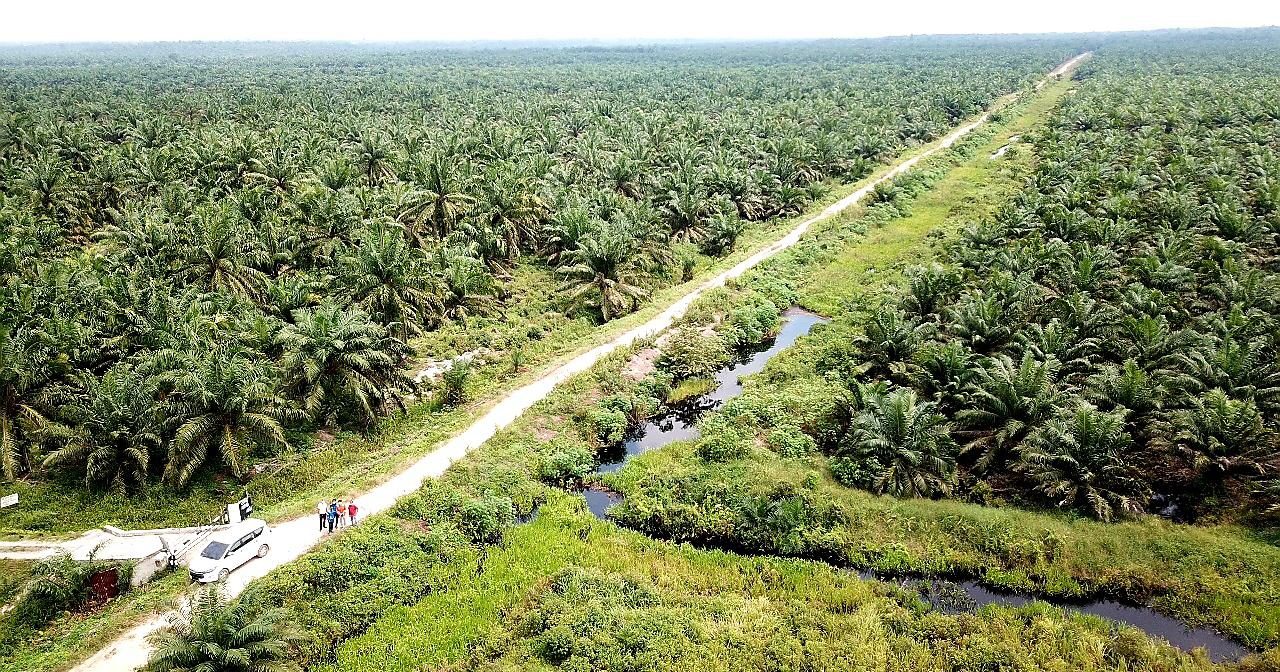 Dorong Ekonomi Daerah di Proyek Pipa Rokan