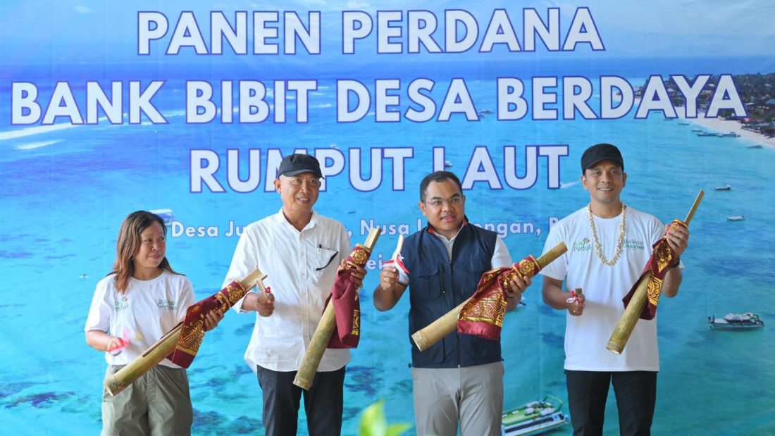 PLN Bangun Kemandirian Ekonomi Melalui Rumput Laut