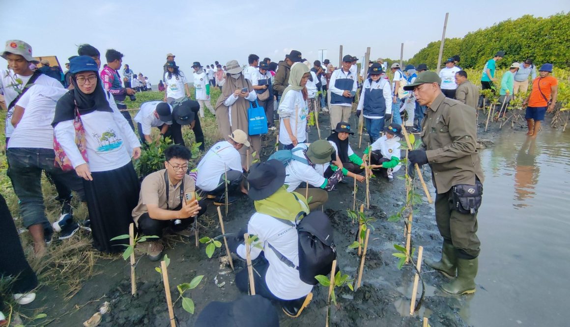 Bersama Warga, PLN Rehabilitasi Mangrove di Pesisir Utara Jateng
