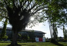 Kelola Hutan Rumbai, Cara PHR Jaga Warisan Alam