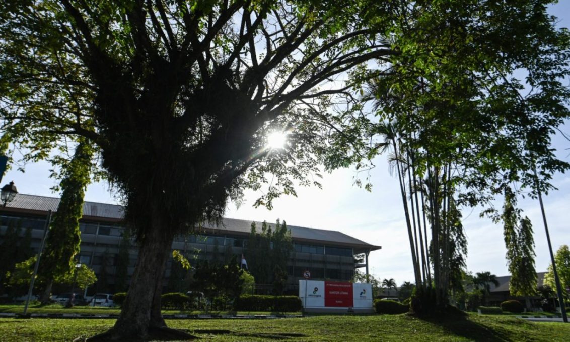 Kelola Hutan Rumbai, Cara PHR Jaga Warisan Alam