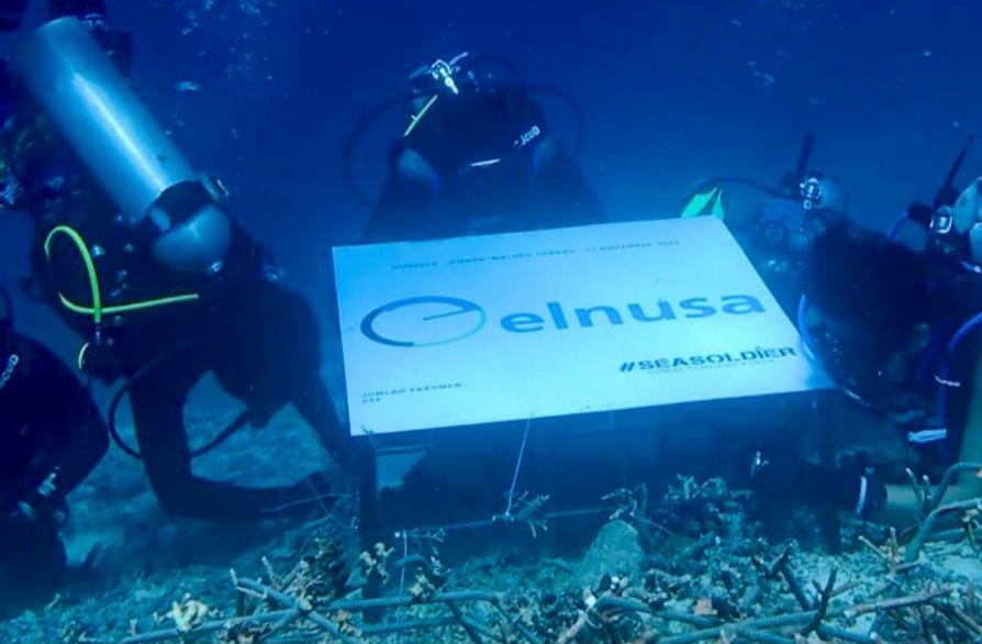 Elnusa Rawat Laut dan Hidupkan Harapan Bersama Terumbu Karang