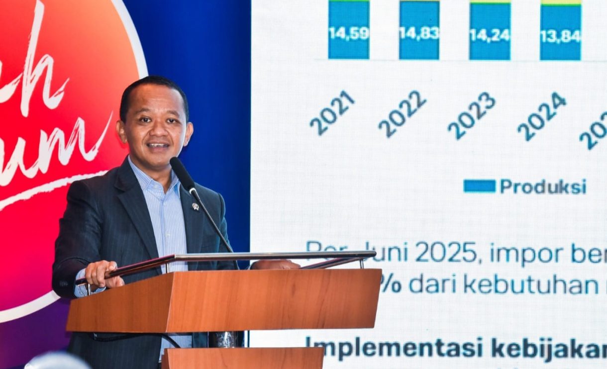 Hilirisasi, Wajib Dilakukan untuk Menjadi Negara Maju