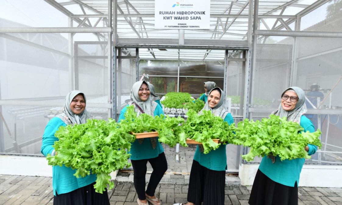 Cerita Sukses Program Hidroponik di Green Terminal Tanjung Sekong