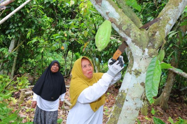 Potret Tangguh Perempuan Sebagai Kepala Keluarga