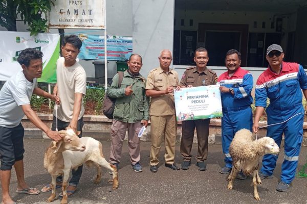 Rayakan Iduladha, Pertagas Salurkan 475 Hewan Kurban ke 300 Titik