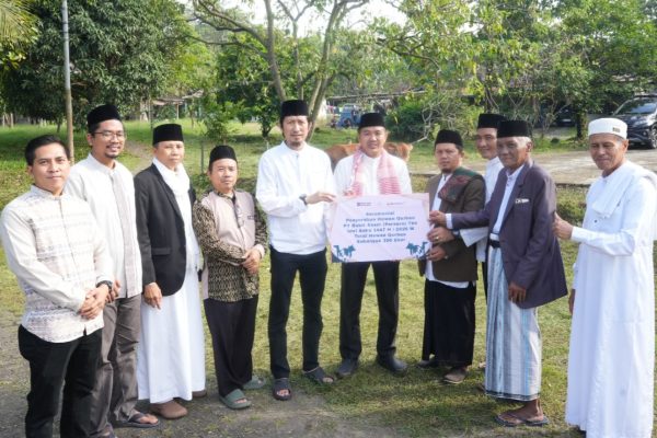 Tebar Kebahagiaan, PTBA Salurkan 300 Hewan Kurban