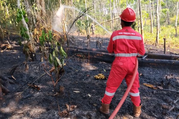 Respon Cepat, PHR Zona 4 Padamkan Lebih dari 100 Titik Karhutla