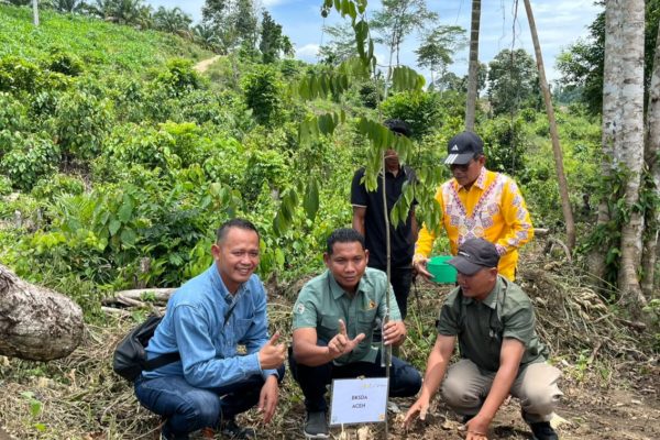 PHE NSO Pulihkan Habitat Gajah di Aceh Utara