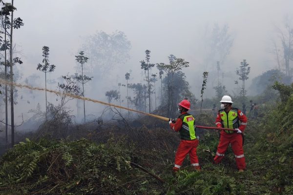 PetroChina Perkuat Pemadaman Karhutla di HLG Londerang