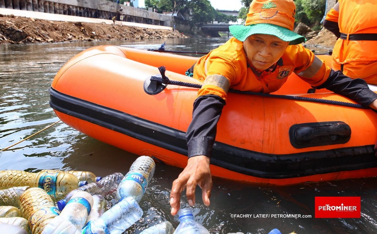 Safari TOSS: Journey to the East
