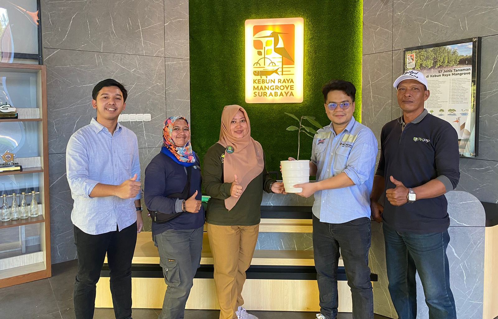 Bibit Mangrove Langka untuk Kebun Raya Mangrove Surabaya