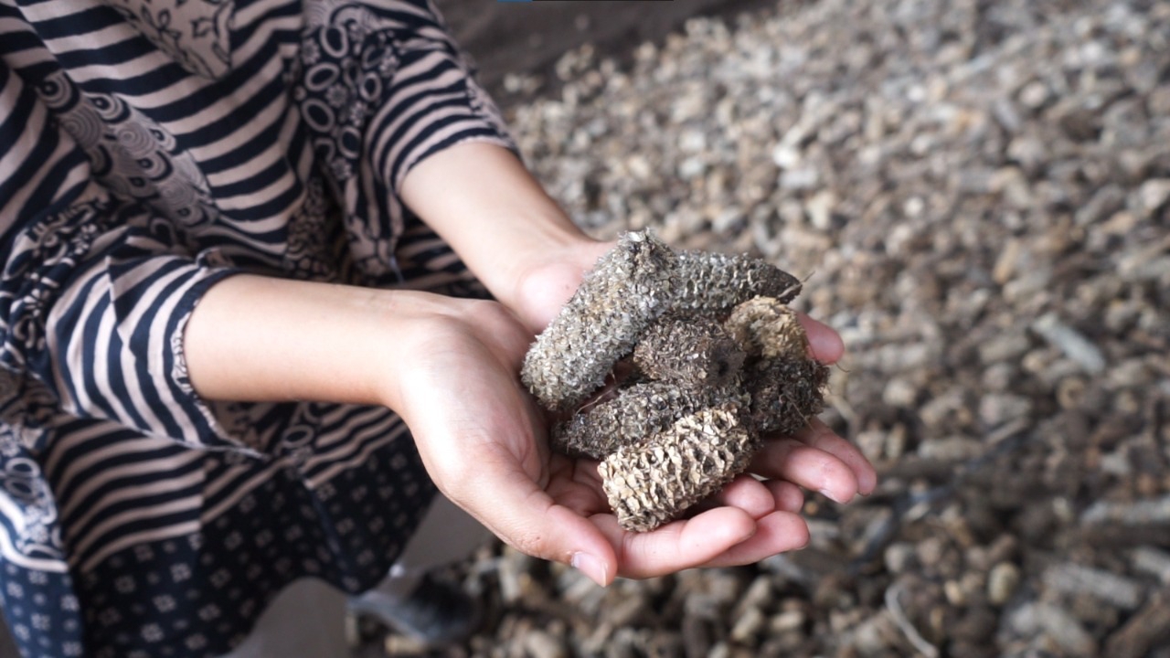 Implementasi Co-Firing Hasilkan 575,4 GWh Listrik Bersih