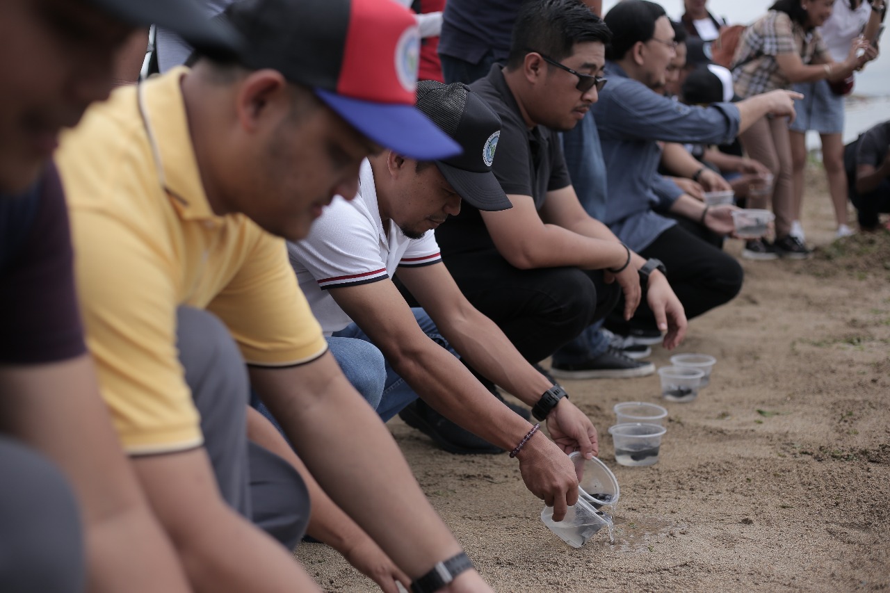 Pertamina Ajak Pelanggan Lepas Tukik di Pantai