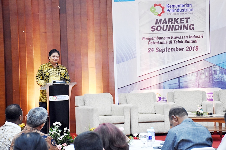 Petrokimia Teluk Bintuni Dijadikan Anchor Industri Hilir