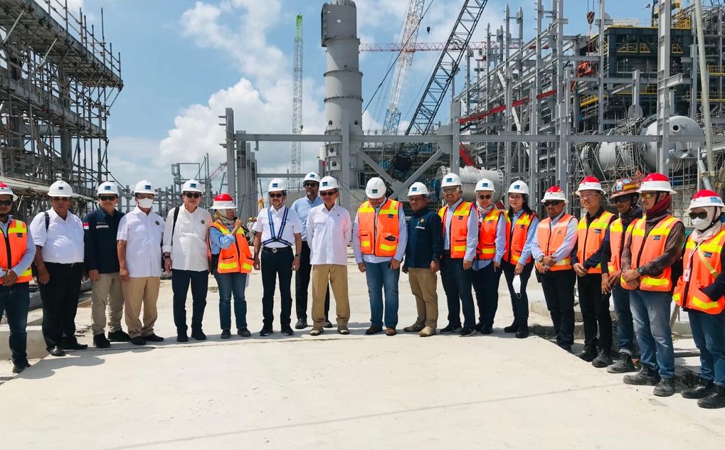 Menteri ESDM: Progres Smelter Manyar 4 Persen per Bulan