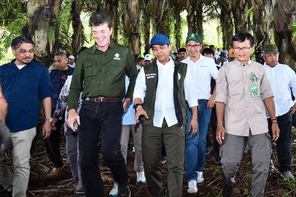 Manfaatkan Panas Bumi, Aren Dikembangkan Jadi Bioetanol