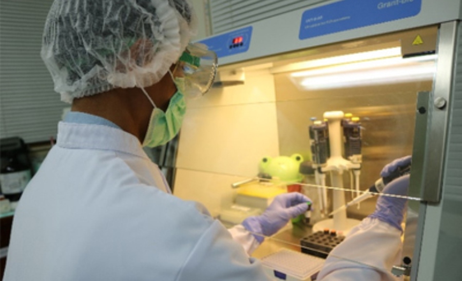 Kesembuhan Covid-19 Tinggi, Ini yang Dilakukan Freeport Indonesia