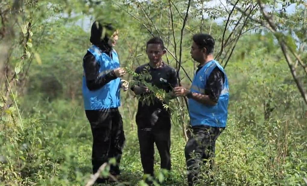 Dikelola Masyarakat dan Didukung Pemerintah, PLN Terus Kembangkan Biomassa