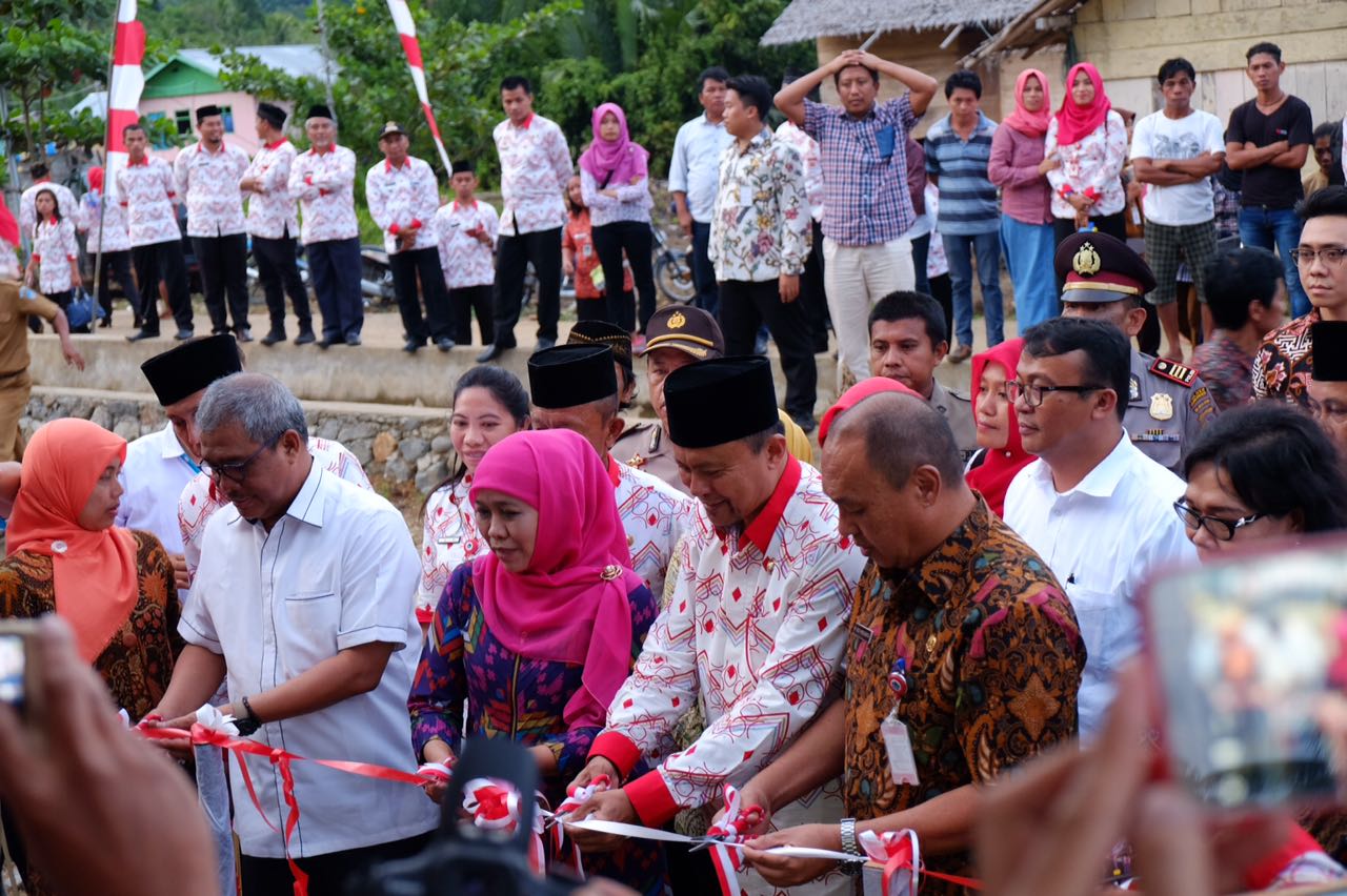 Jaringan Listrik di Desa Perjuangan