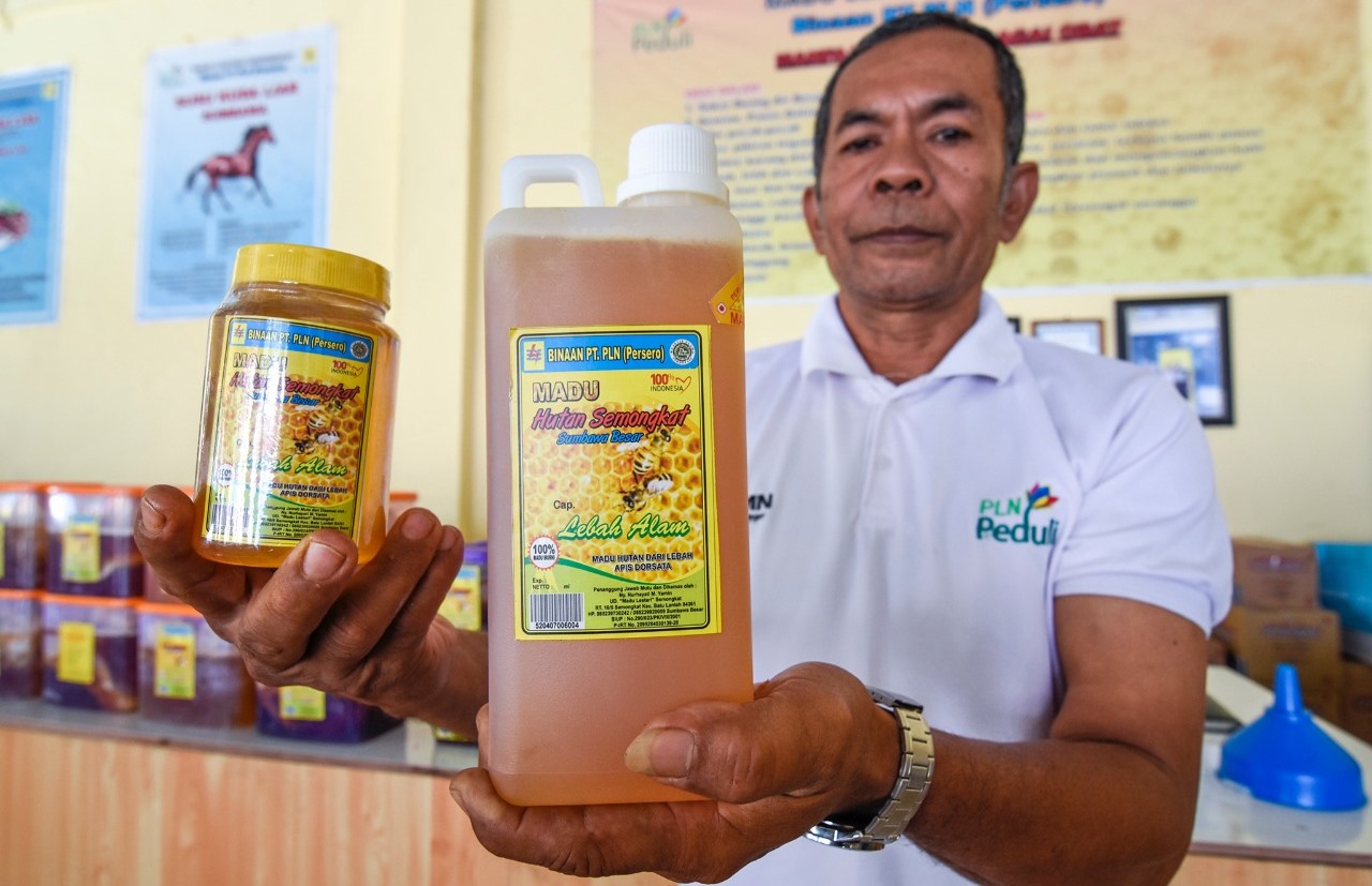 Upaya PLN Bangkitkan UMKM di Masa Pandemi