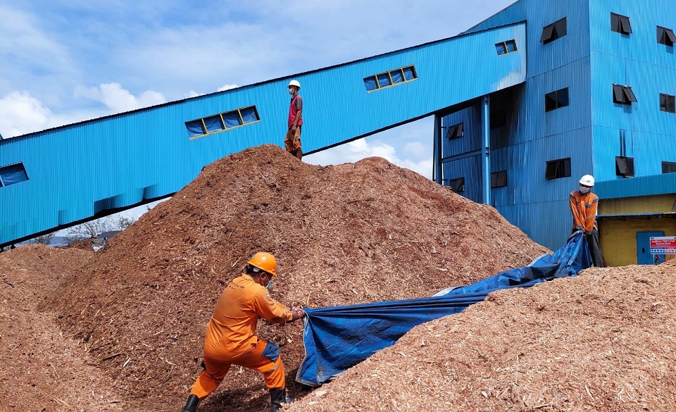 Di PLTU Bolok, 75 Persen Batubara Digantikan Biomassa