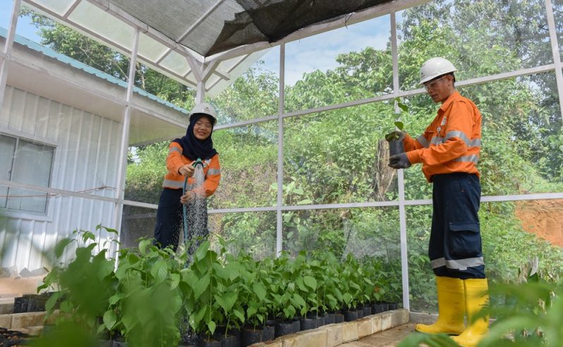 Dukung Riset dan Inovasi, Tambang Martabe Perluas Nursery