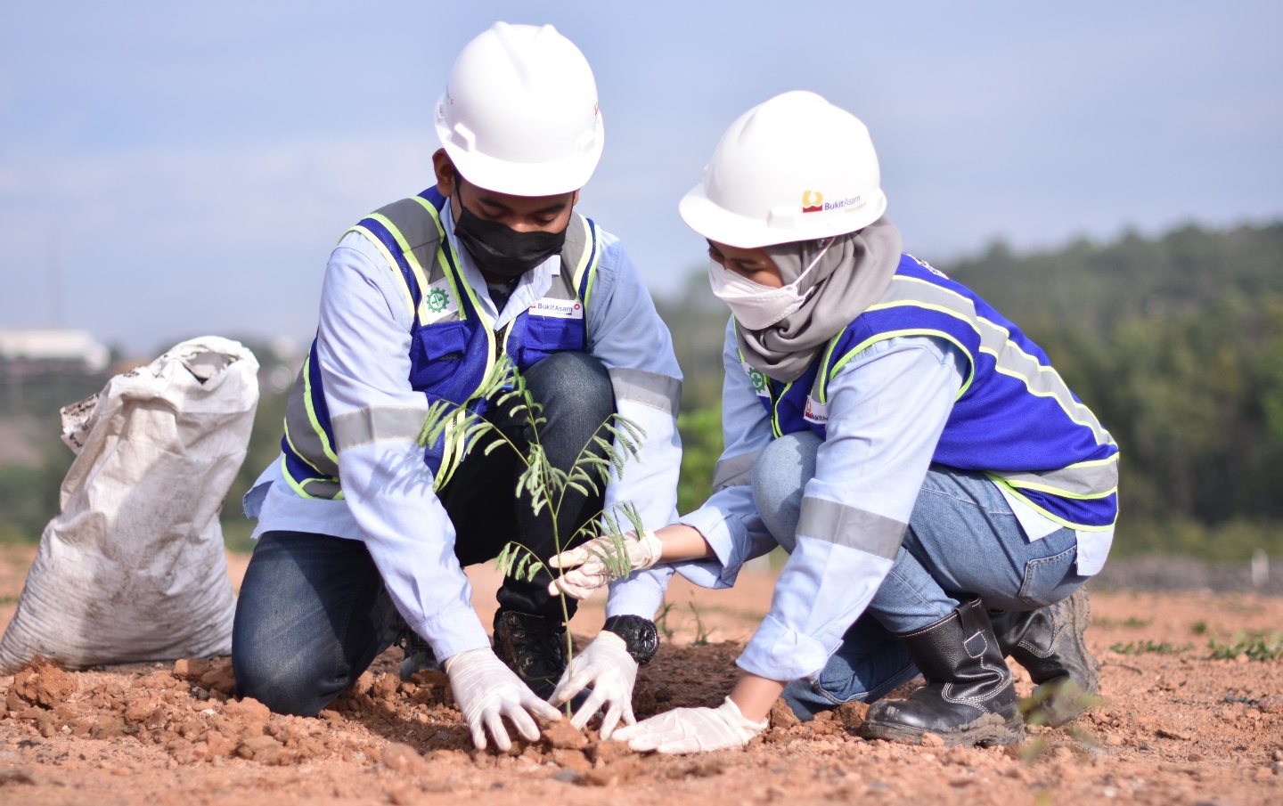 1,33 Juta Pohon Ditanam di Areal Reklamasi PTBA
